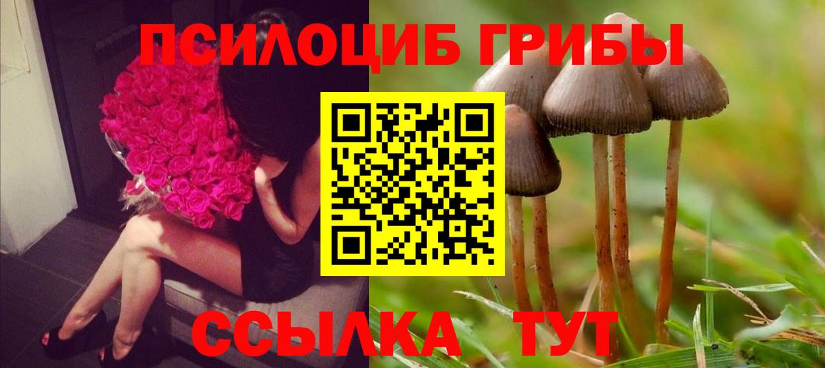 Кашира  Галлюциногенные грибы Cubensis  Вход с VPN  Псилоцибиновые грибы прущие грибы 